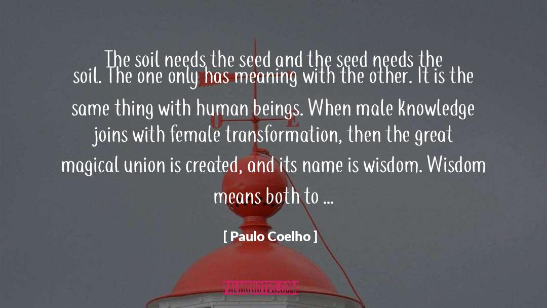 Sun Collaborates With Soil quotes by Paulo Coelho
