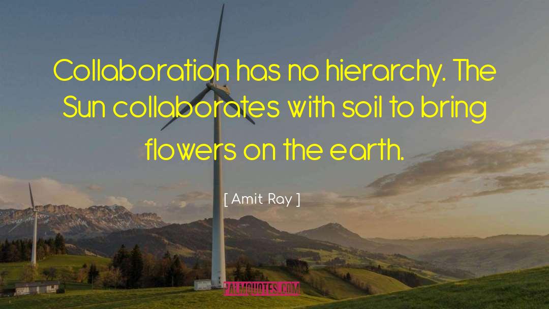Sun Collaborates With Soil quotes by Amit Ray