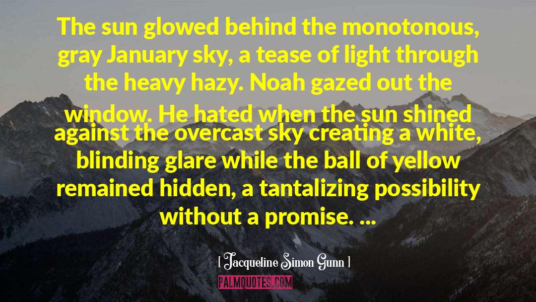 Sun Glare Shield quotes by Jacqueline Simon Gunn