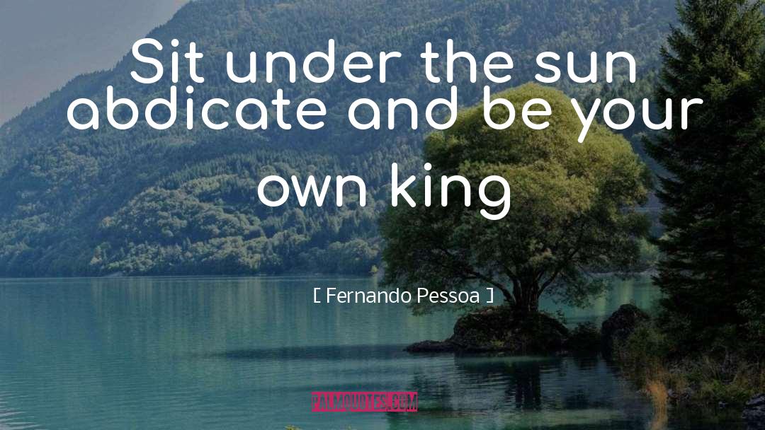 Sun Glare Shield quotes by Fernando Pessoa