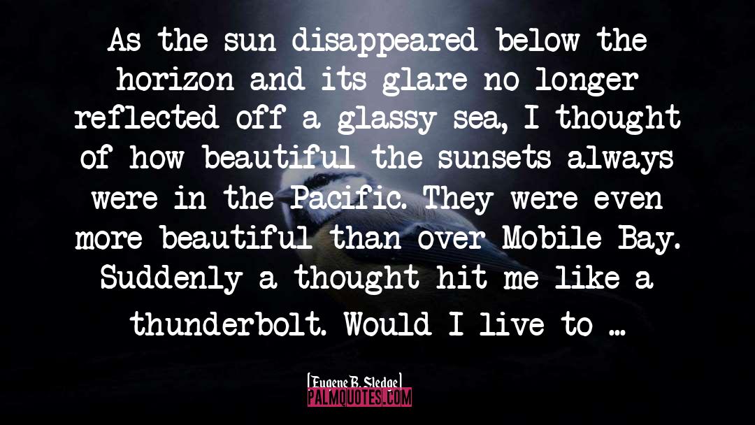 Sun Glare Shield quotes by Eugene B. Sledge