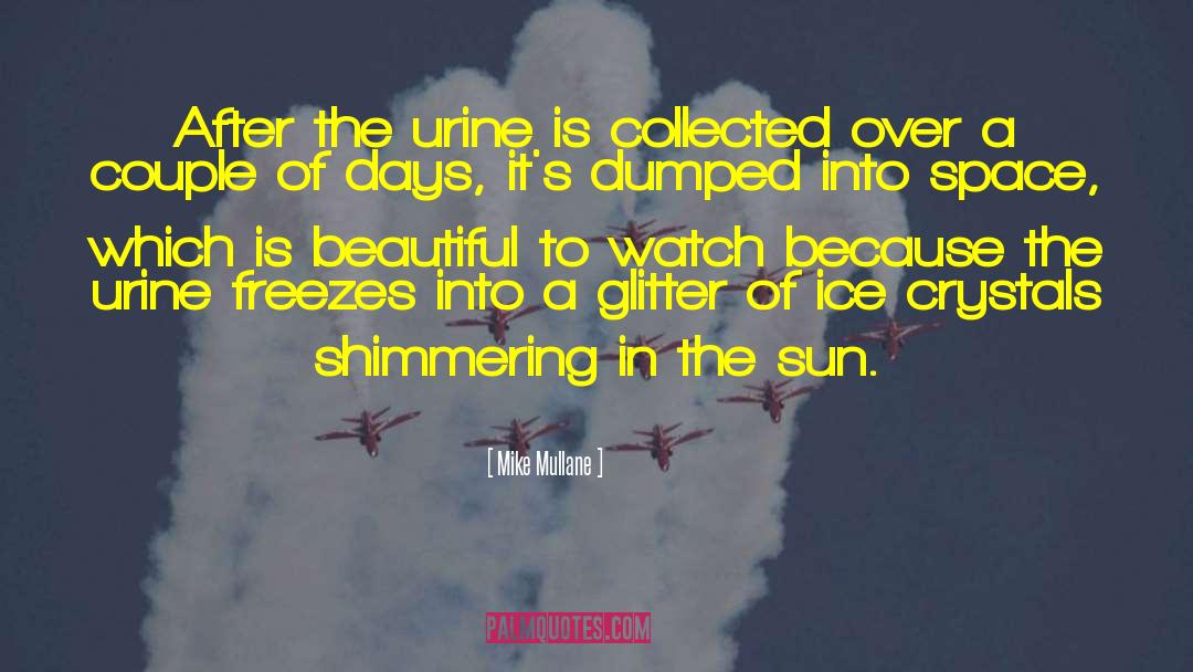 Sun Glitter quotes by Mike Mullane