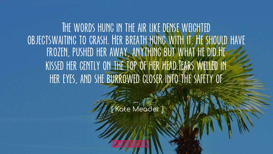 Sun Kissed Air quotes by Kate Meader