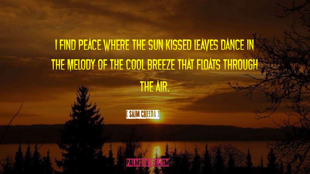 Sun Kissed Air quotes by Saim Cheeda