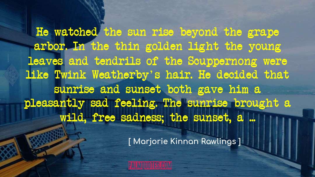 Sun Rise quotes by Marjorie Kinnan Rawlings