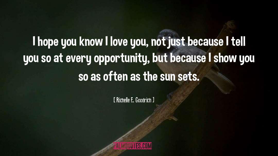 Sun Sets quotes by Richelle E. Goodrich