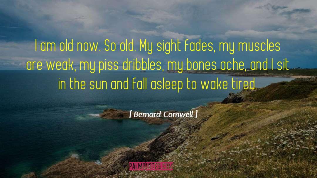Sun Shine quotes by Bernard Cornwell