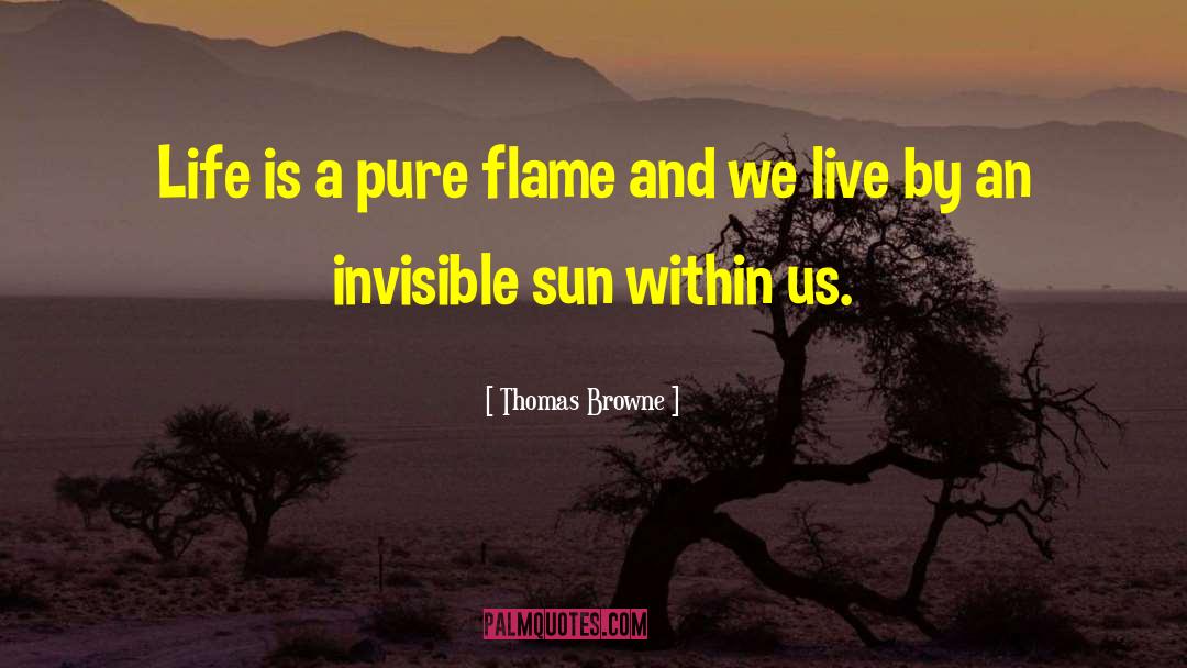 Sun Summer quotes by Thomas Browne