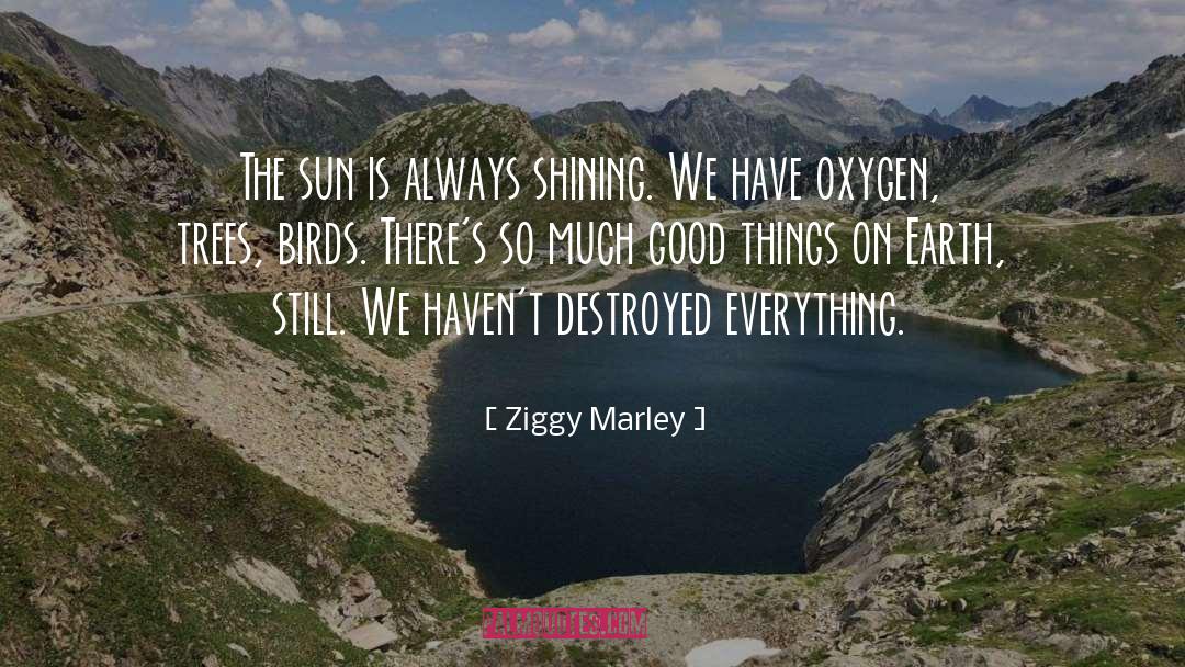 Sun Up quotes by Ziggy Marley