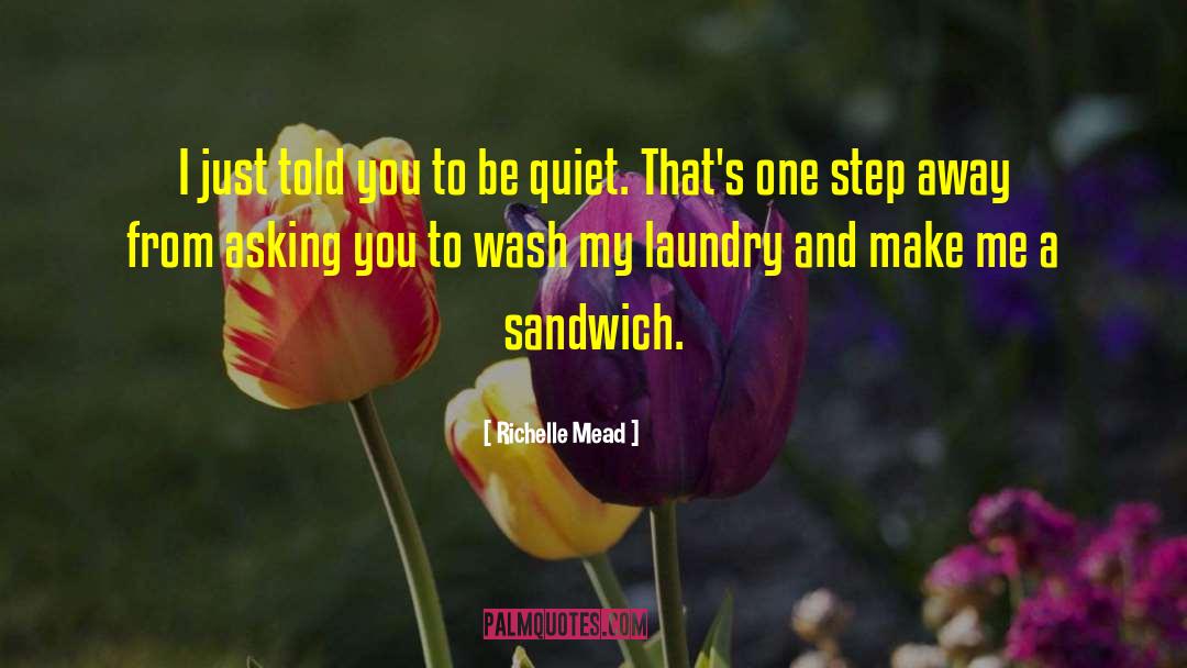Sun Wash Laundry quotes by Richelle Mead