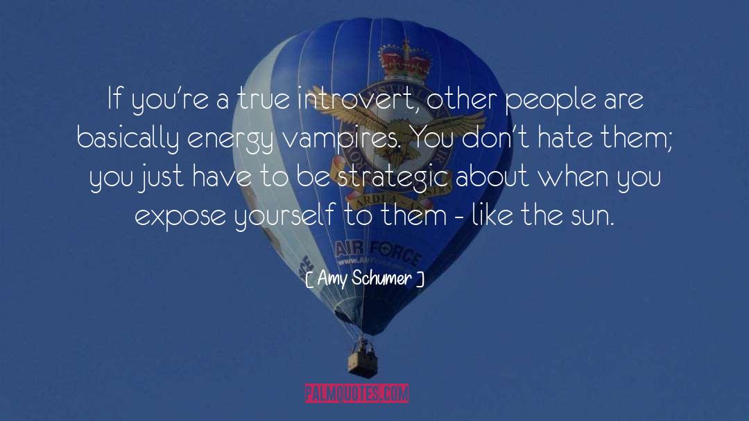 Sun Worship quotes by Amy Schumer