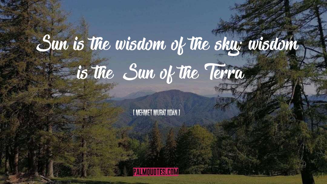 Sun Yat Sen quotes by Mehmet Murat Ildan