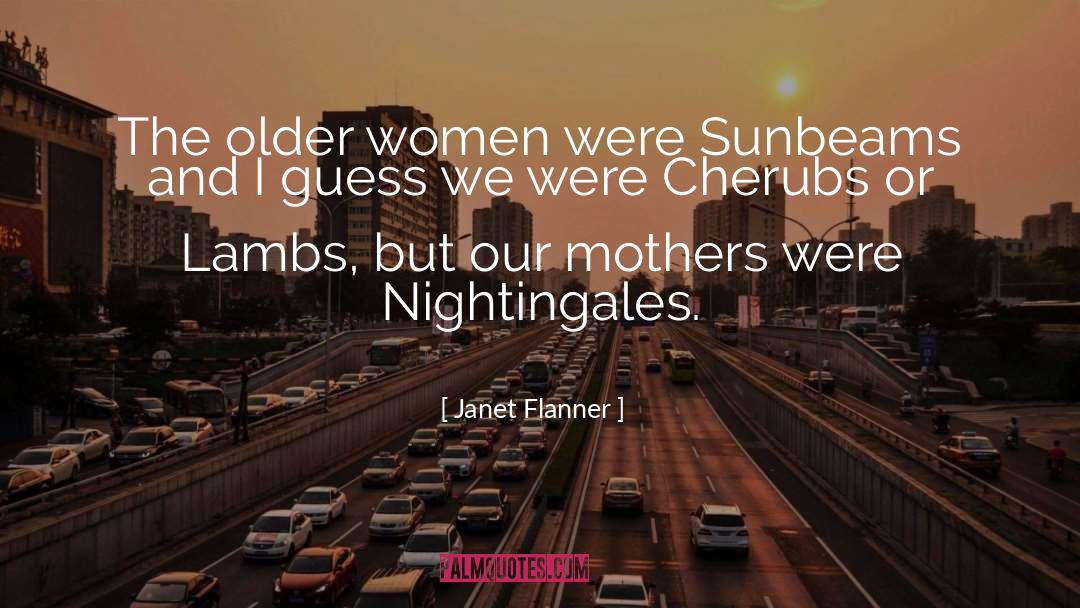 Sunbeams quotes by Janet Flanner