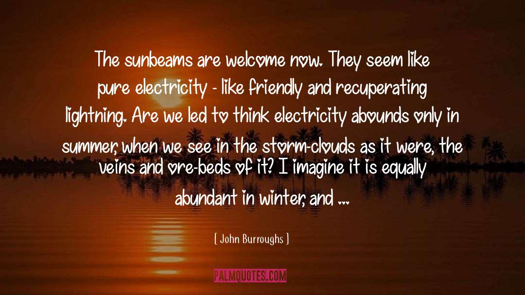 Sunbeams quotes by John Burroughs