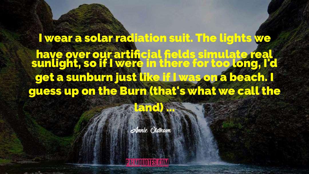 Sunburn quotes by Annie Oldham