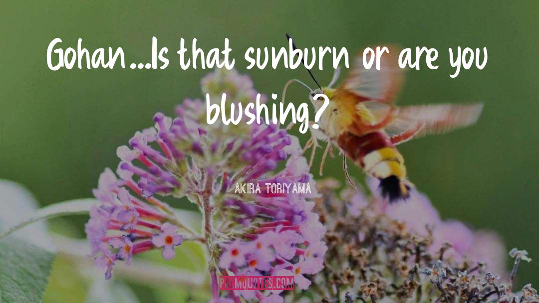 Sunburn quotes by Akira Toriyama