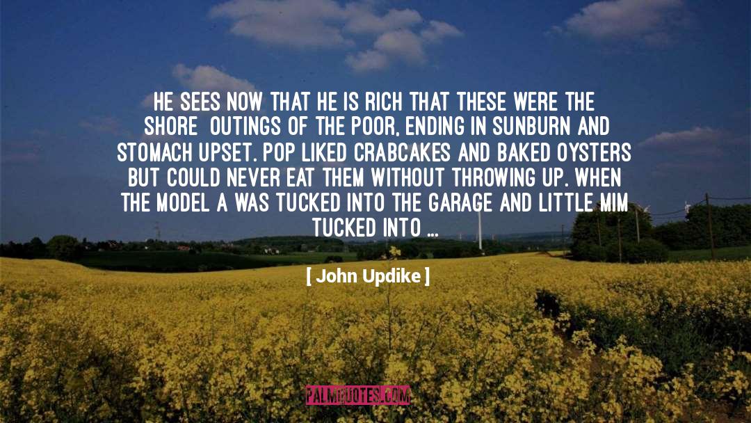 Sunburn quotes by John Updike