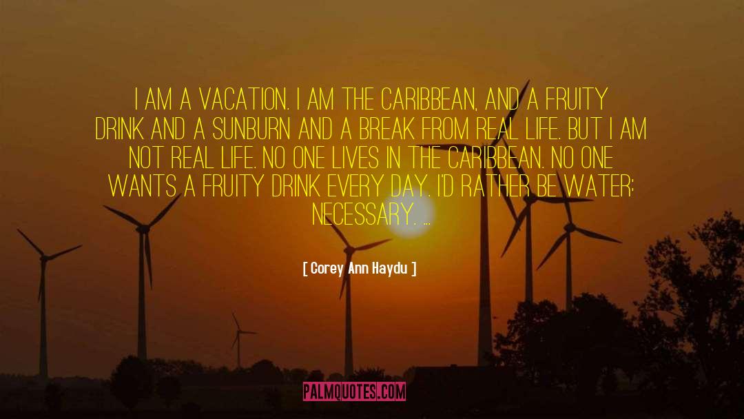 Sunburn quotes by Corey Ann Haydu