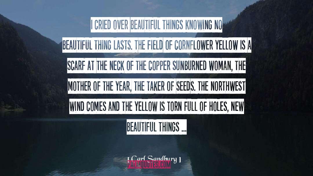 Sunburned quotes by Carl Sandburg