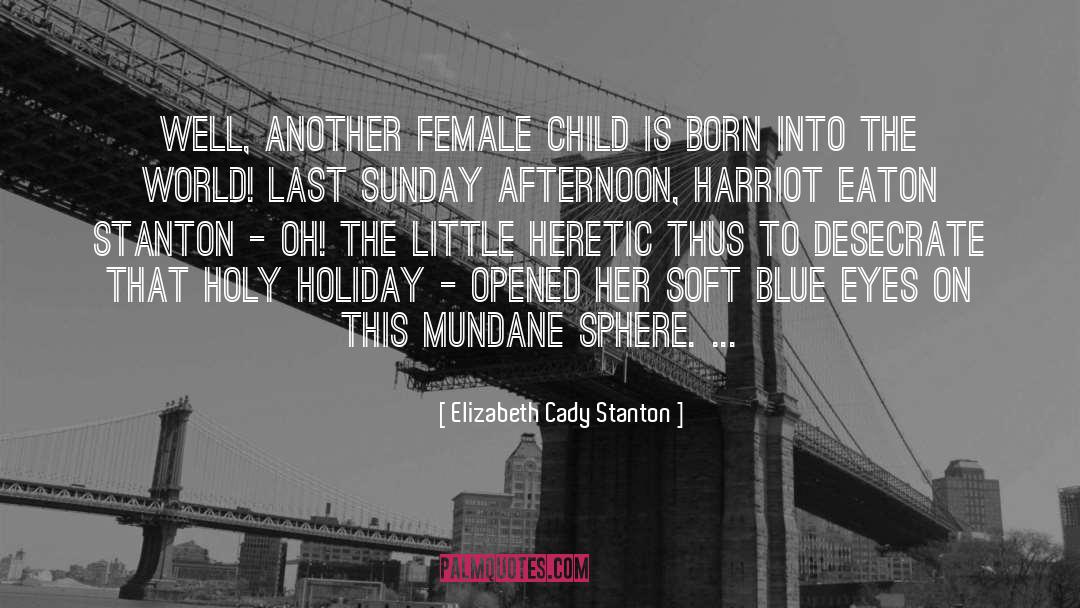 Sunday Afternoons quotes by Elizabeth Cady Stanton