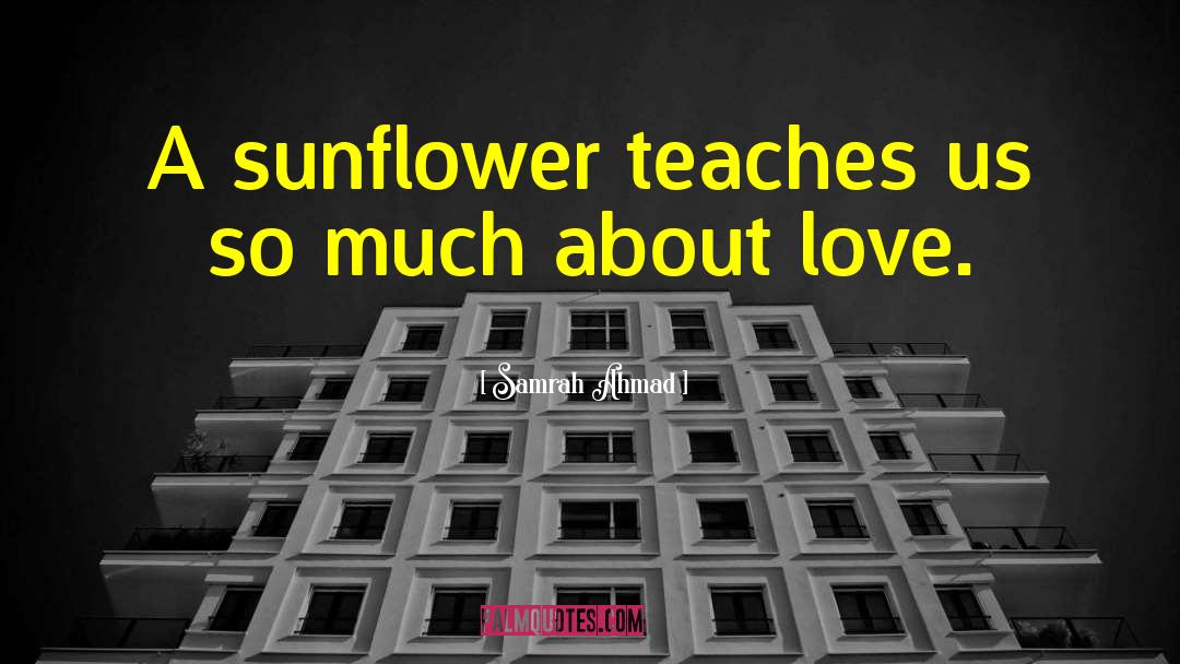 Sunflower Day quotes by Samrah Ahmad