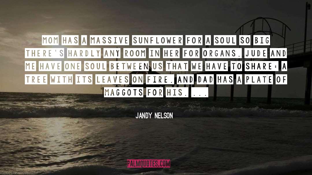 Sunflower quotes by Jandy Nelson