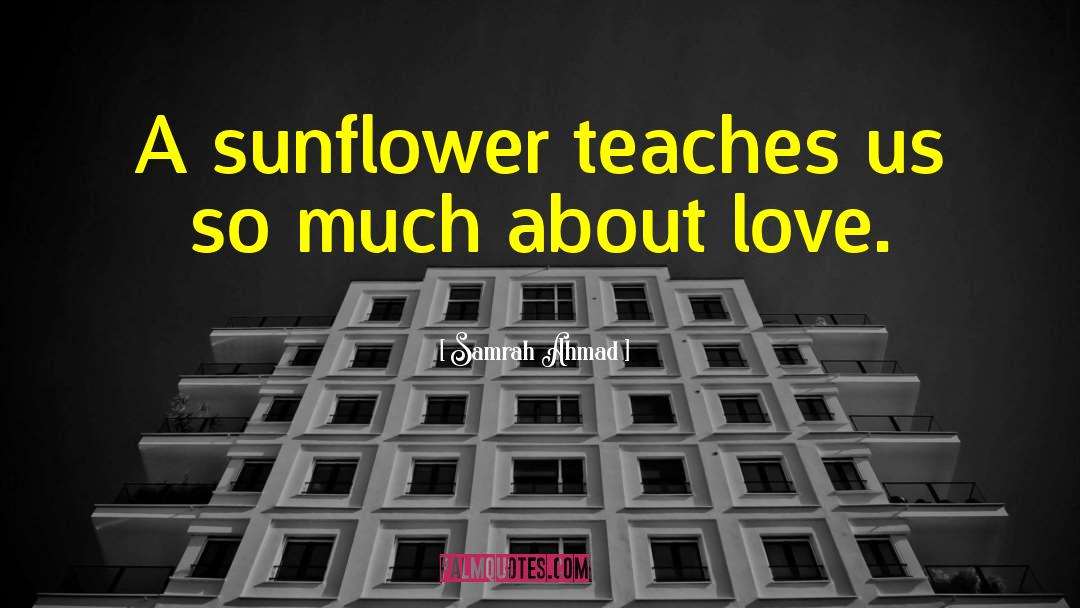 Sunflowers quotes by Samrah Ahmad
