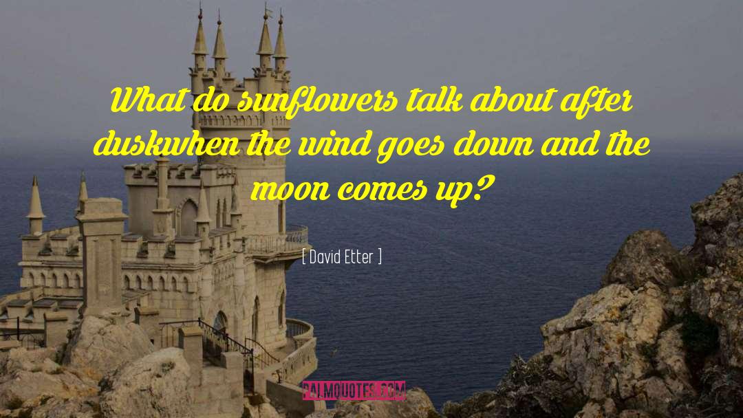 Sunflowers quotes by David Etter