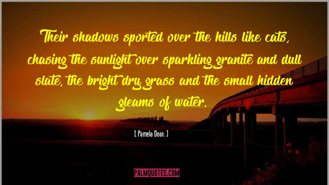 Sunlight Sunset quotes by Pamela Dean