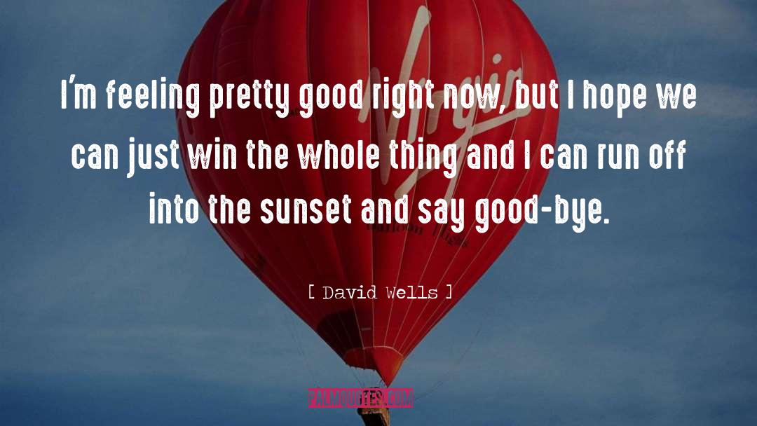 Sunlight Sunset quotes by David Wells