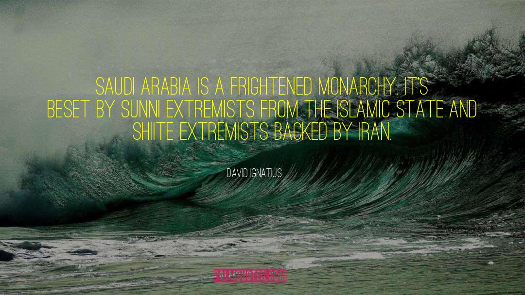 Sunni quotes by David Ignatius