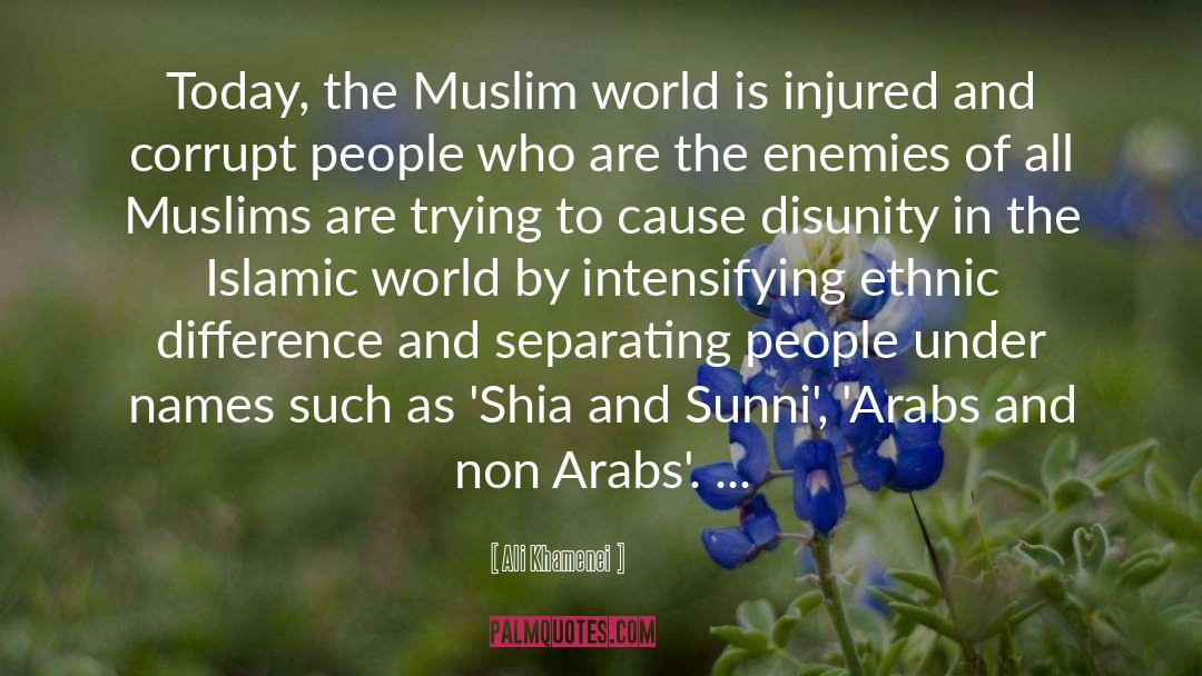 Sunni quotes by Ali Khamenei