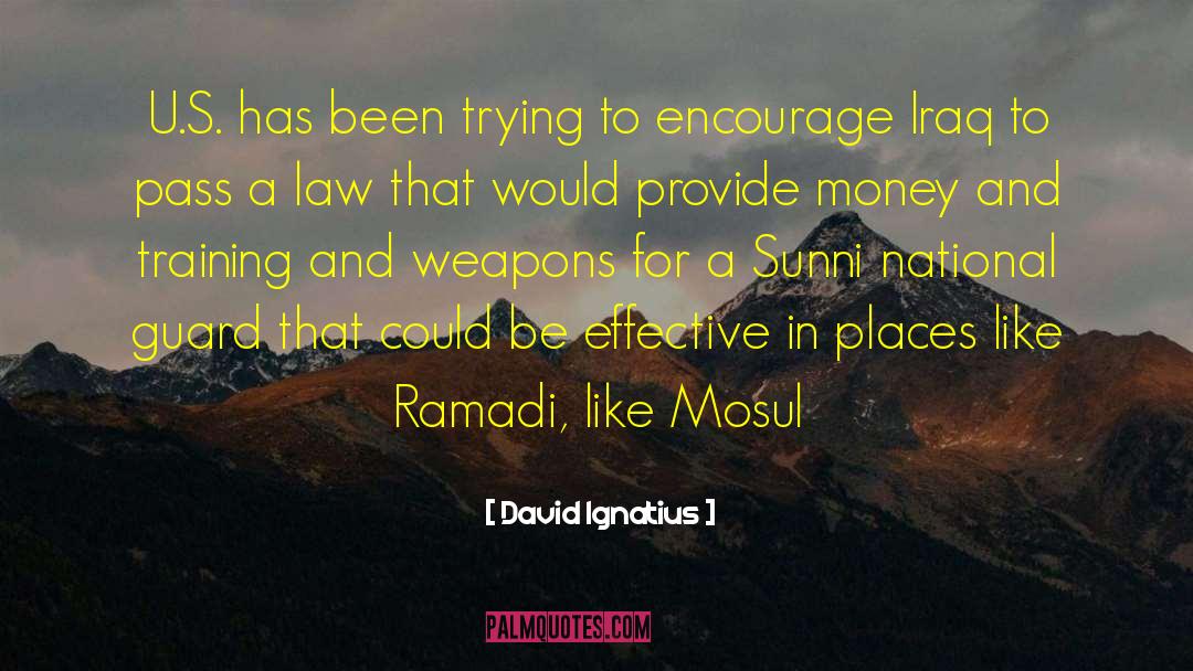 Sunni quotes by David Ignatius