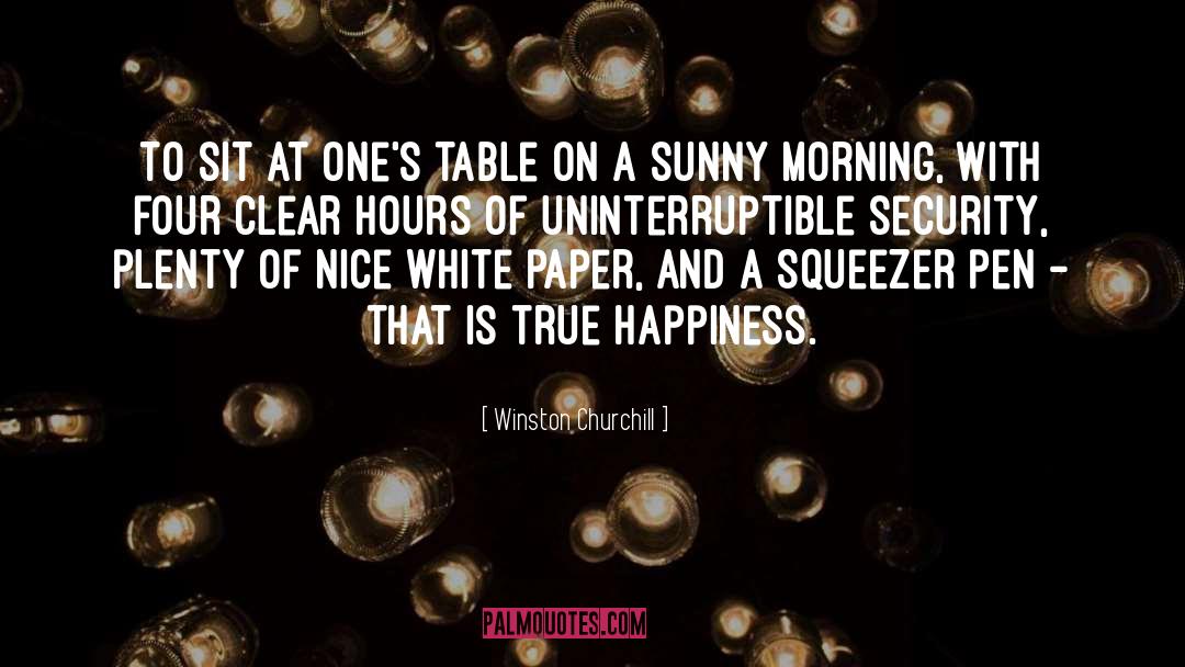 Sunny Weather quotes by Winston Churchill