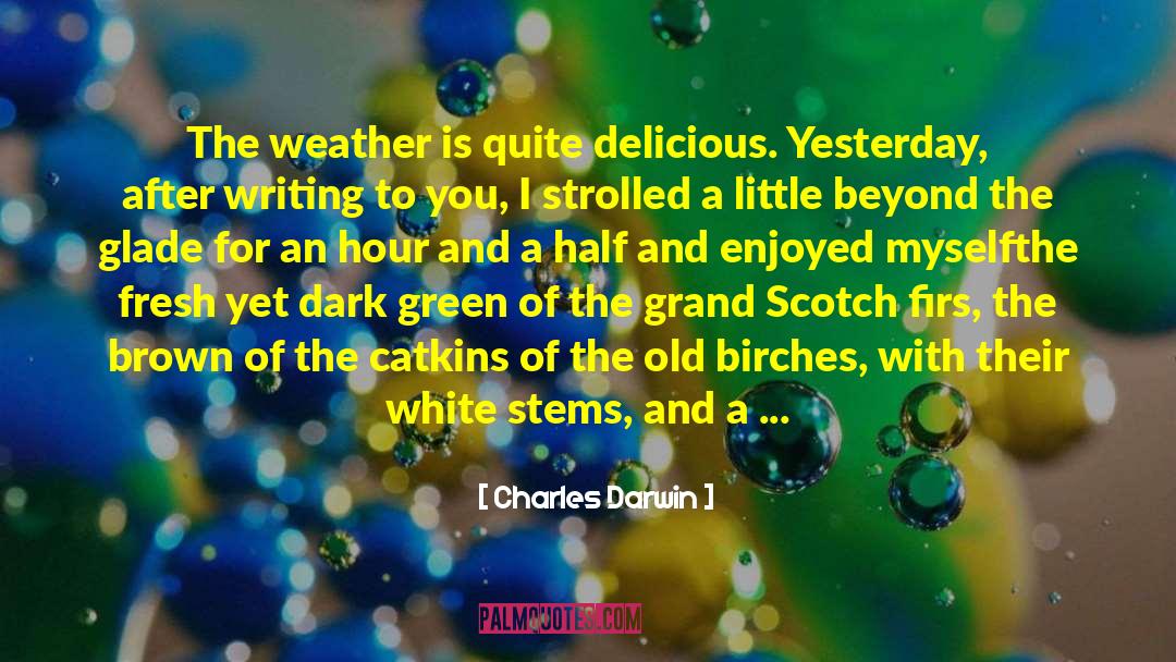 Sunny Weather quotes by Charles Darwin