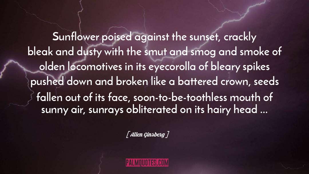 Sunrays quotes by Allen Ginsberg