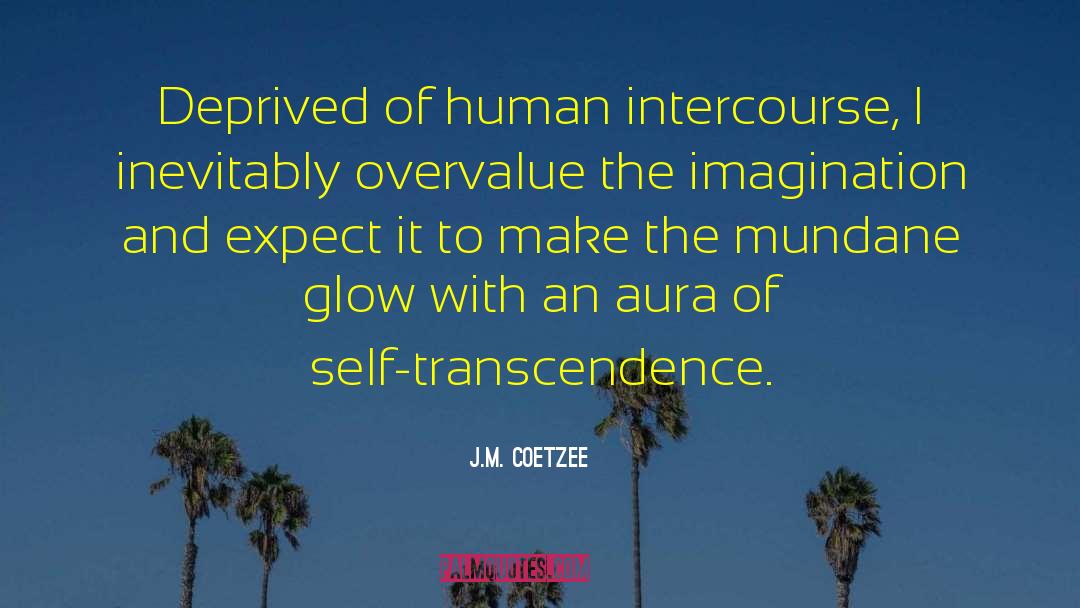 Sunrise And Sunset quotes by J.M. Coetzee