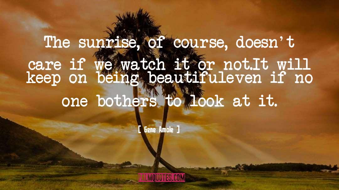 Sunrise quotes by Gene Amole