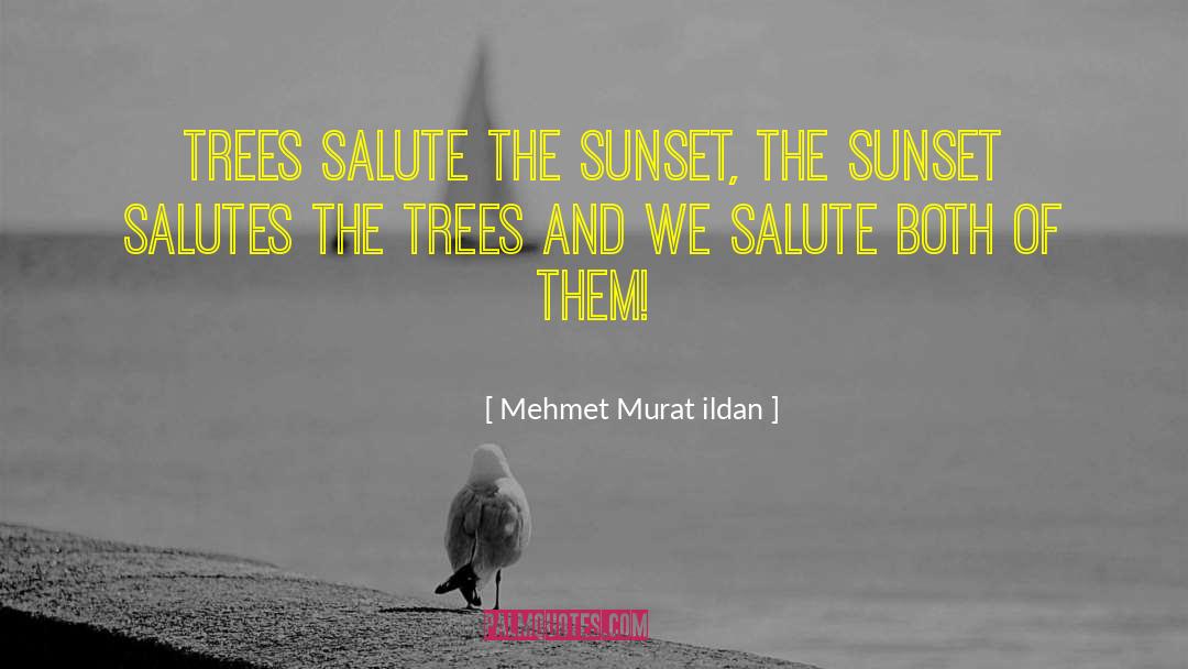 Sunset Laws quotes by Mehmet Murat Ildan