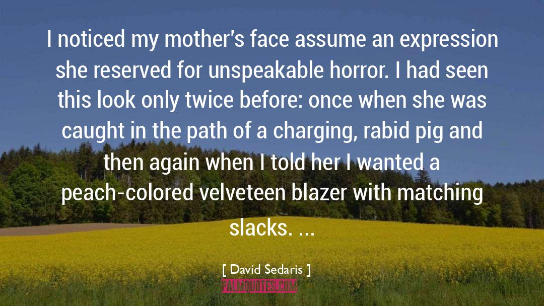 Sunset Peach quotes by David Sedaris