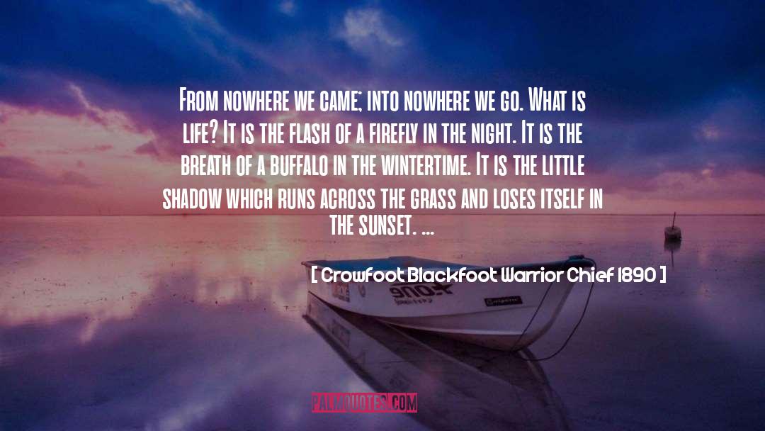 Sunset quotes by Crowfoot Blackfoot Warrior Chief 1890