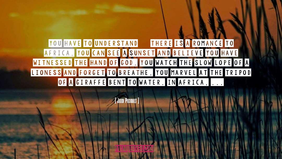 Sunset quotes by Jodi Picoult