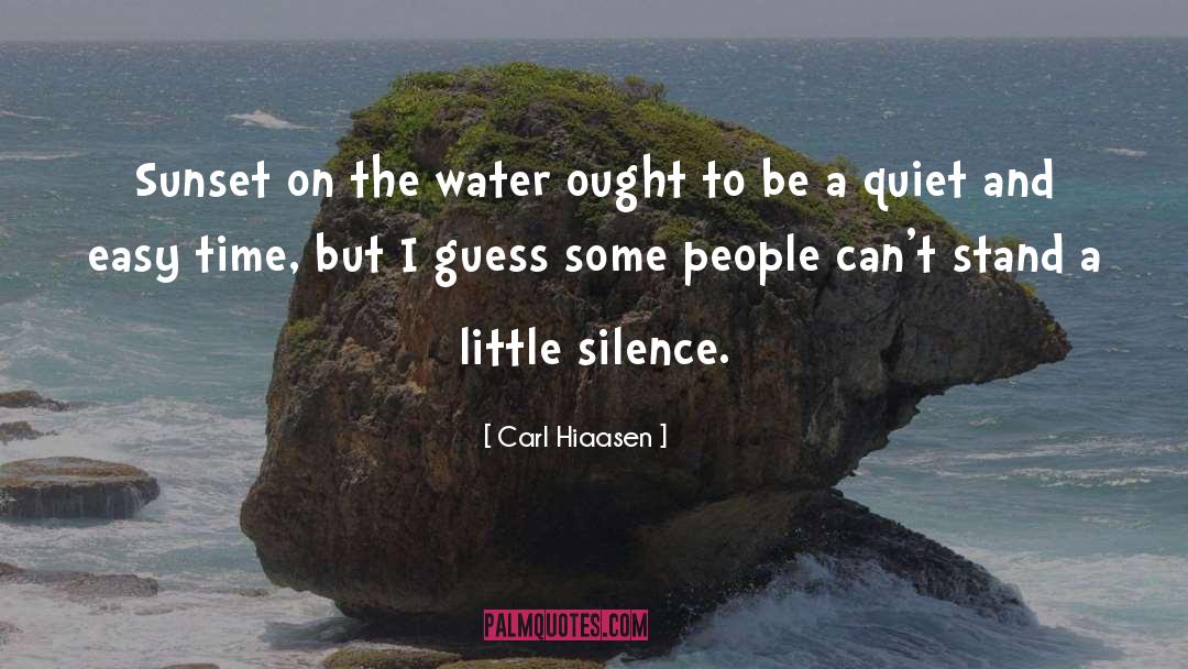 Sunset Reminder quotes by Carl Hiaasen