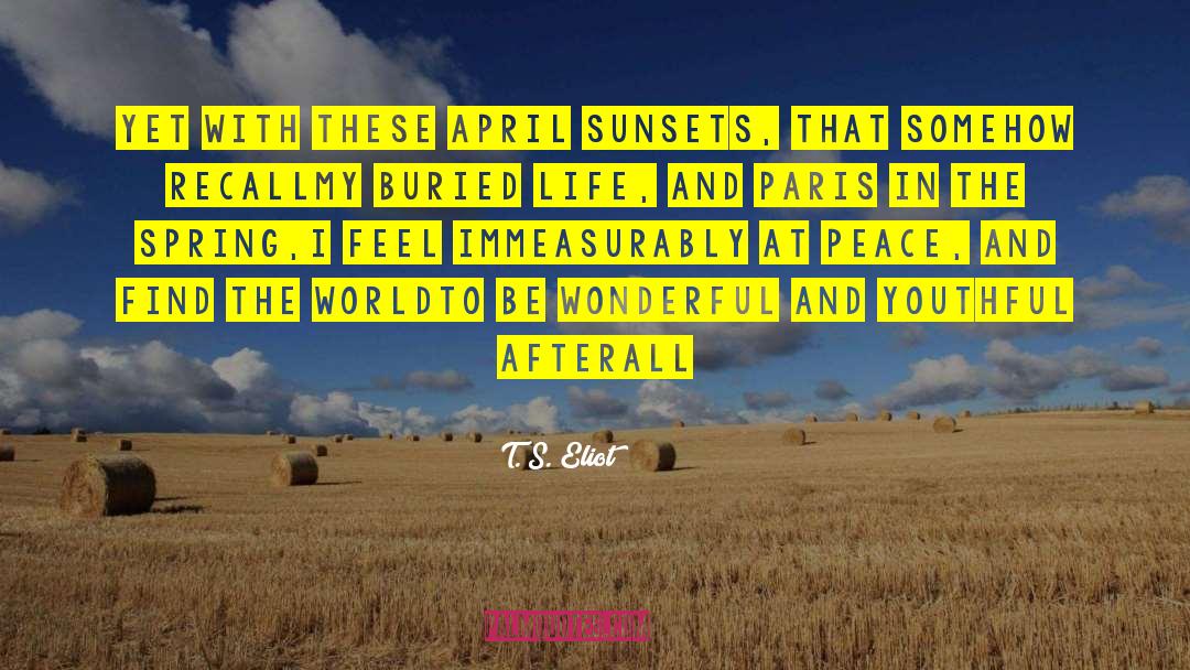 Sunsets quotes by T. S. Eliot