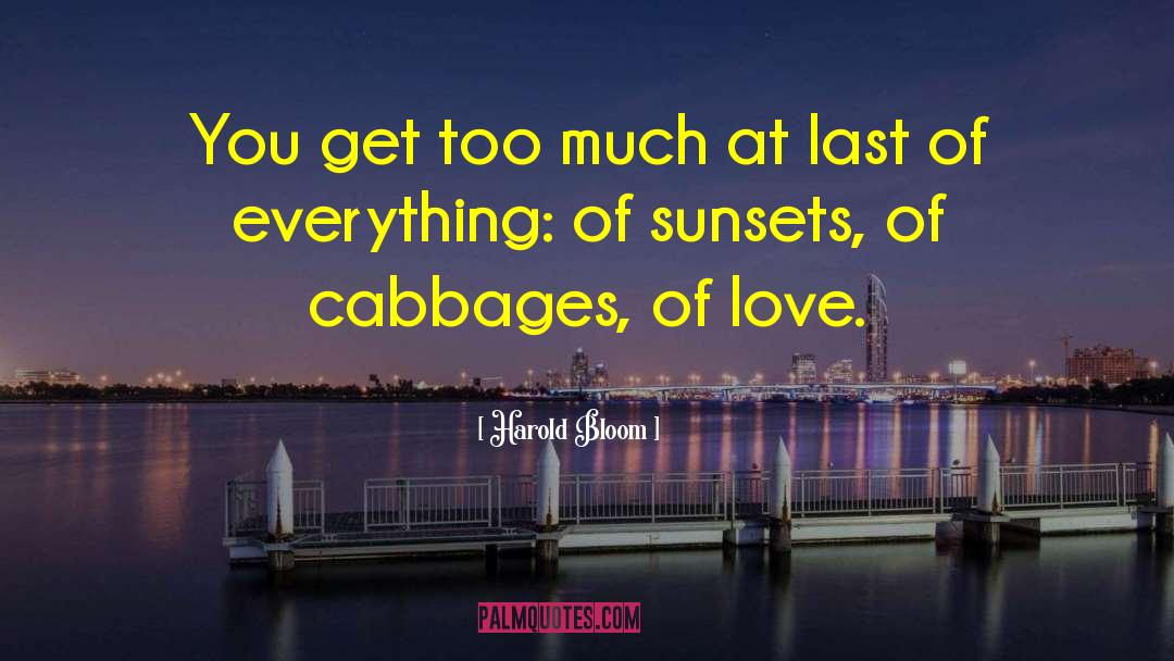 Sunsets quotes by Harold Bloom