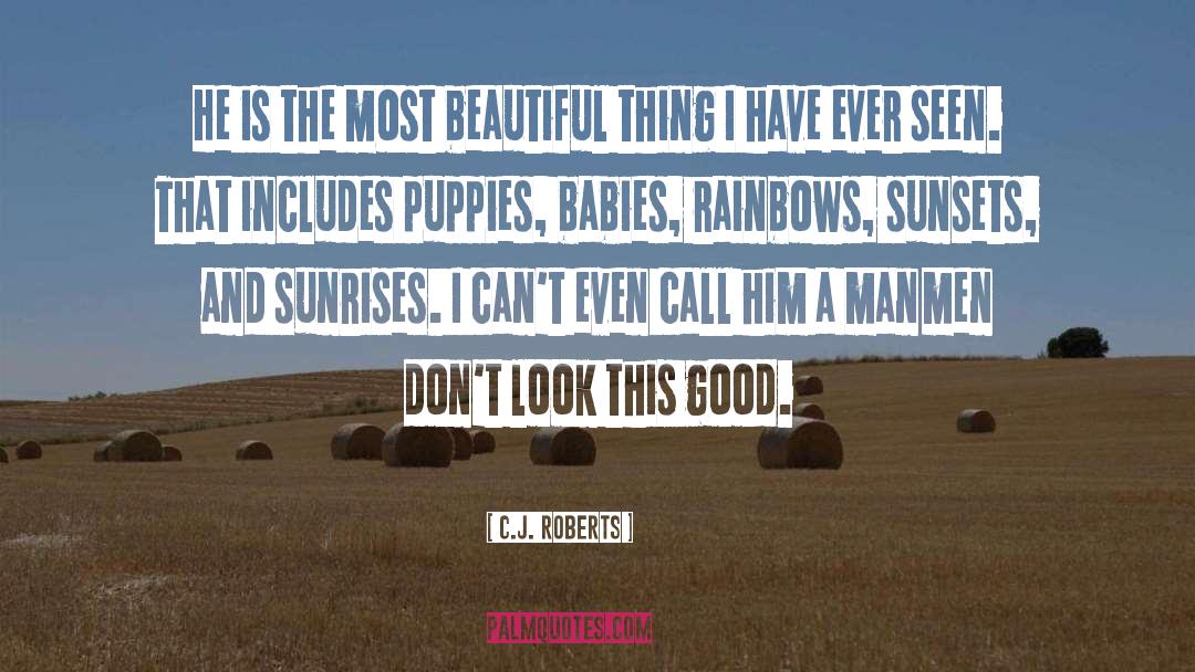 Sunsets quotes by C.J. Roberts