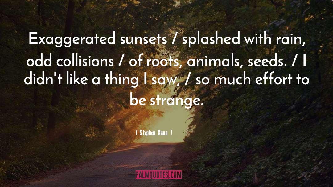 Sunsets quotes by Stephen Dunn