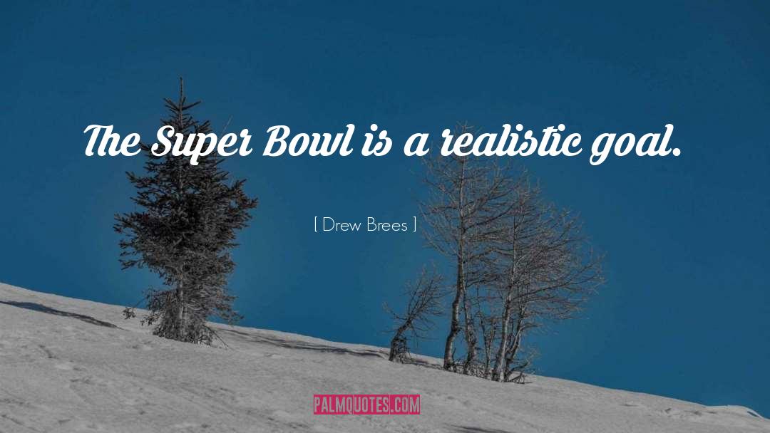 Super Bowl quotes by Drew Brees