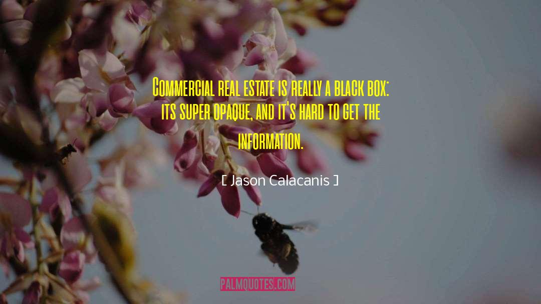 Super Chicks American quotes by Jason Calacanis