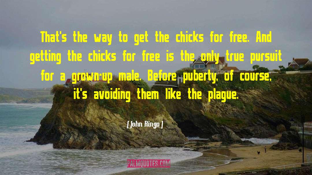 Super Chicks American quotes by John Ringo